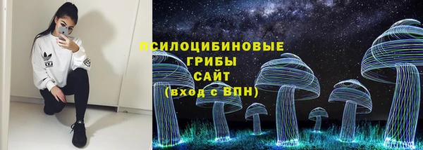 PSILOCYBIN Верхний Тагил